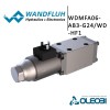 WDMFA06-AB3-G24/WD-HF1_wandfluh_oleobi
